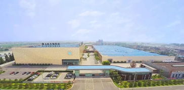 隆力奇 堅守大健康產業，以網絡科技賦能民族品牌振興之路